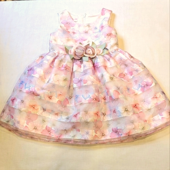 Bonnie Jean Other - EUC....Bonnie Jean Organza Party Dress Size 3T